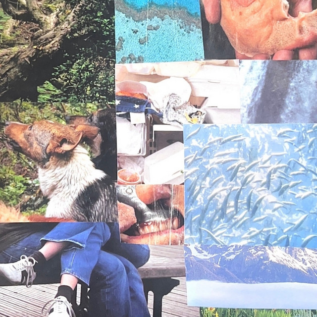 Seasonal Therapy cover art