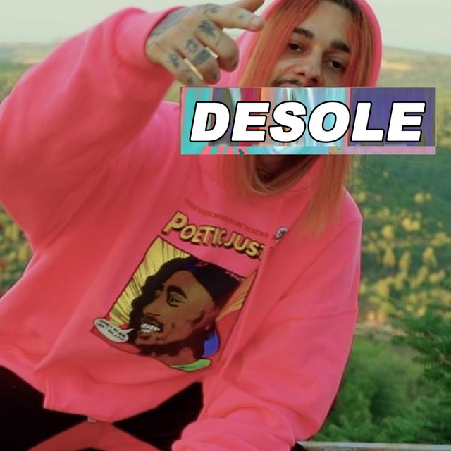 Desole cover art