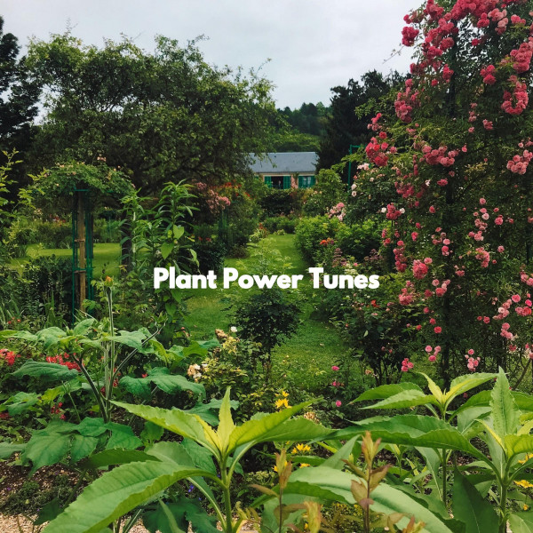 Plant Power Tunes cover art