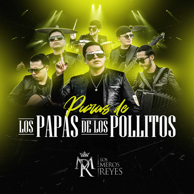 Puras De Los Papas De Los Pollitos cover art