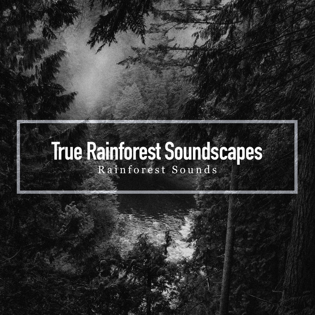 True Rainforest Soundscapes - Album by Rainforest Sounds | Spotify