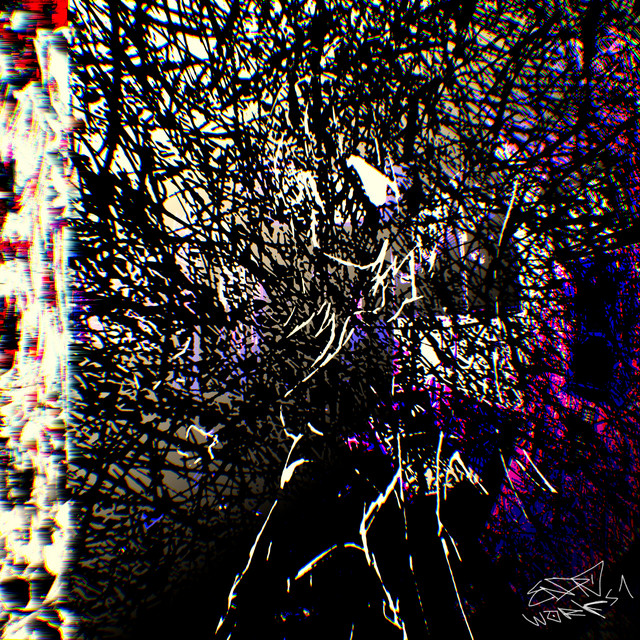 Endo Works 1 cover art
