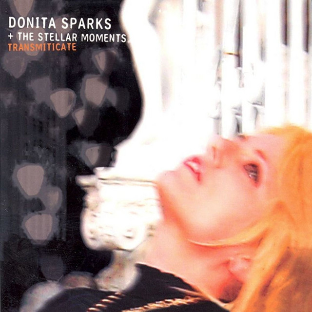 Donita Sparks + The Stellar Moments Photo