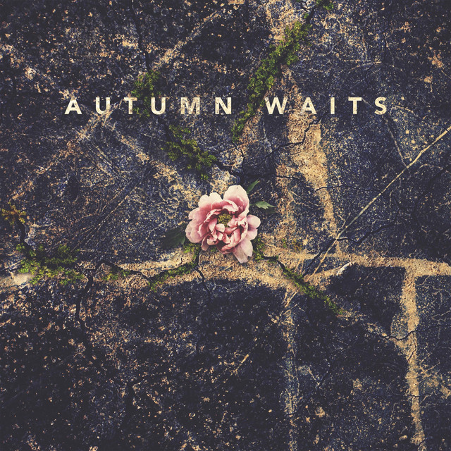 Autumn Waits