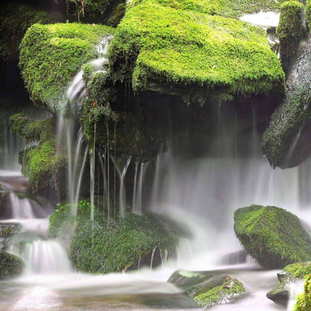 Morning Walks | Ultimate Wellness Center Sounds, Daily Yoga Practice cover art