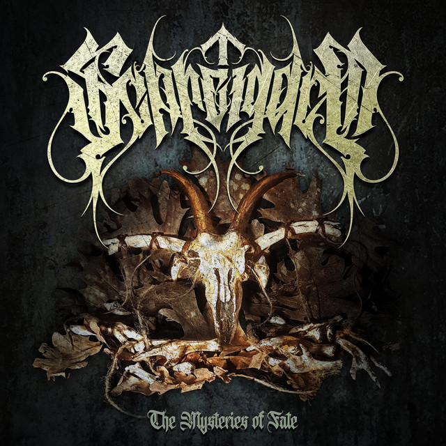 Обкладинка Schreigarm — The Mysteries of Fate