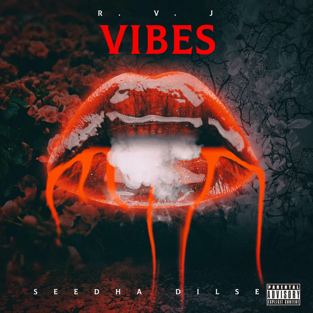 VIBES (Tripping In Jungle Hiphop Beat) - Single by Rvj | Spotify