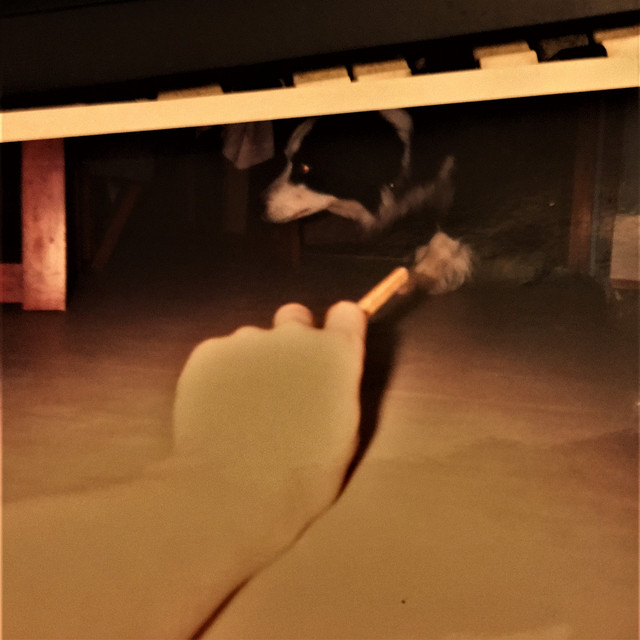 A Shift In The Mind cover