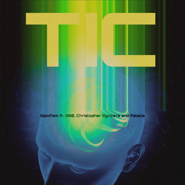 TIC cover