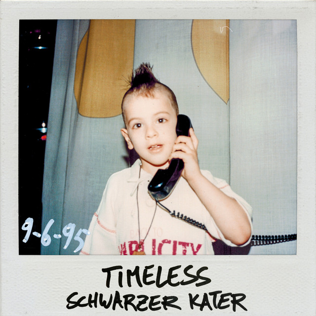 Schwarzer Kater cover art