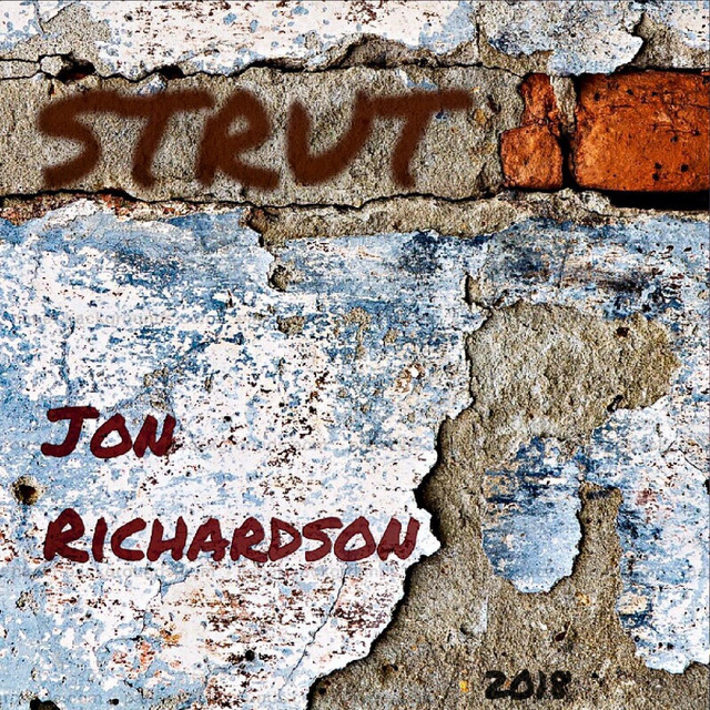 Strut cover