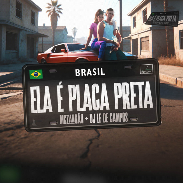 PLACA PRETA