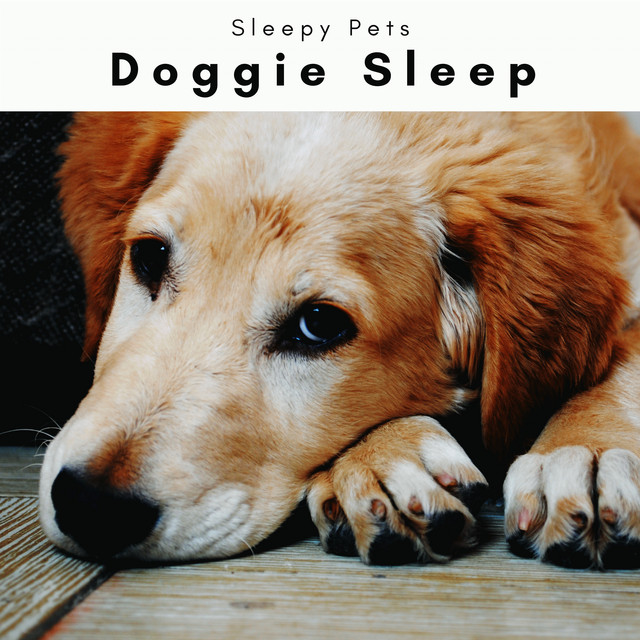 1 Doggie Sleep cover art