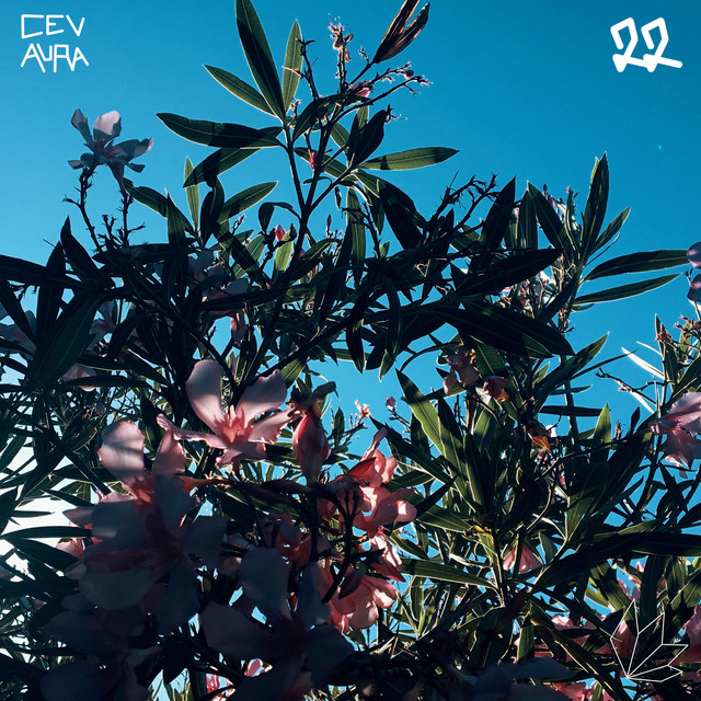 22 cover art
