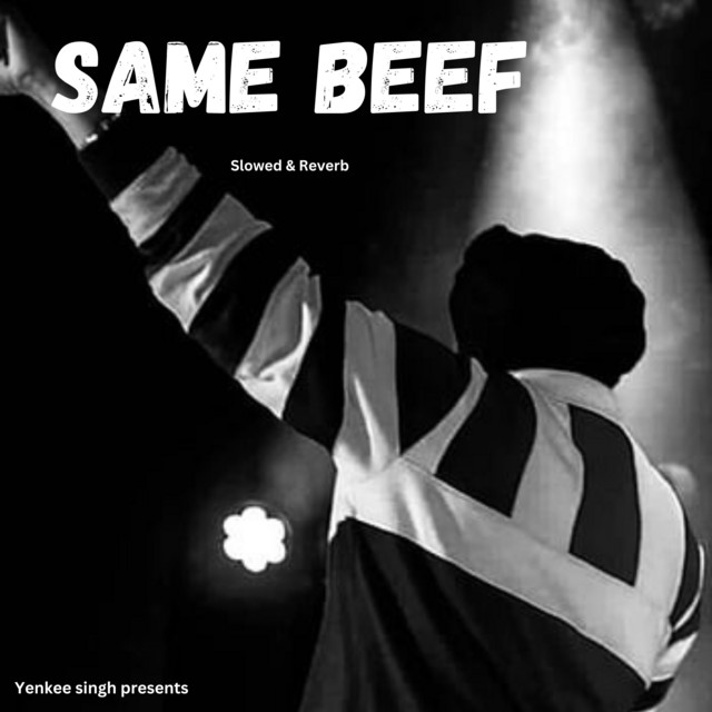 Same Beef - Slowed & Reverb