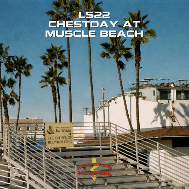 Chestday At Muscle Beach cover