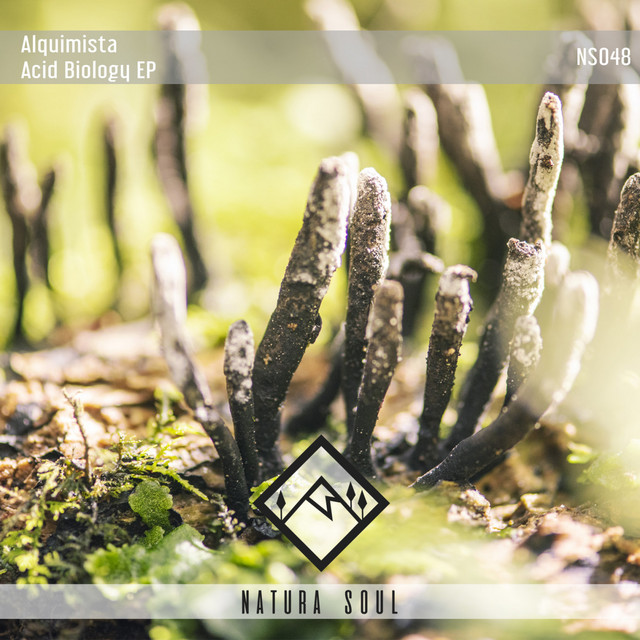 0803 - Original Mix