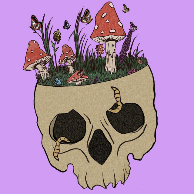 pipe dream cover art