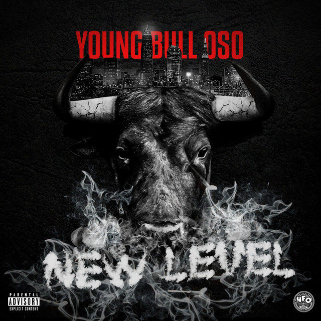 New Level cover