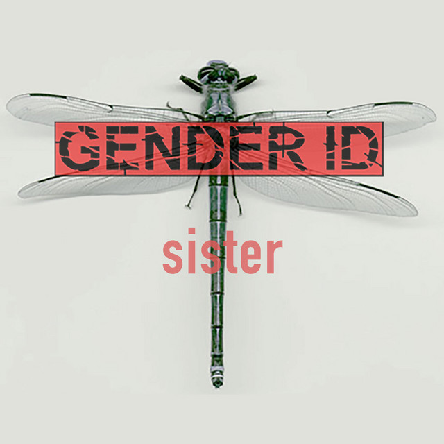 Sister cover