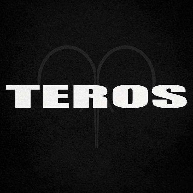 Обкладинка Бус #1648 — Teros