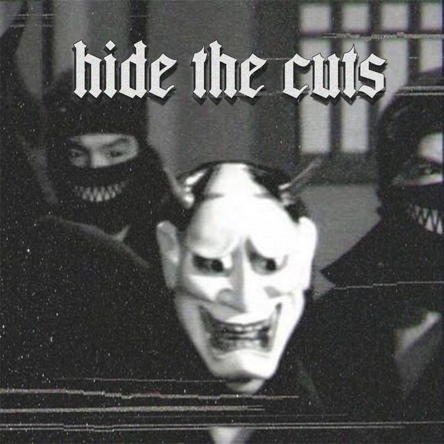 Обкладинка: Hide the Cuts — FLICKER