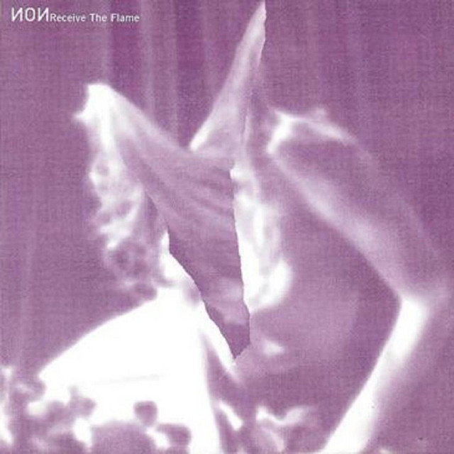 Receive the Flame cover art