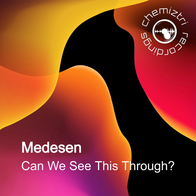 Can We See This Through? cover art