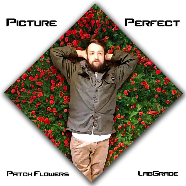 Picture Perfect cover art