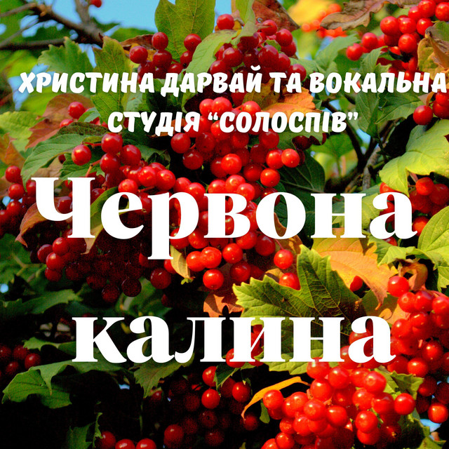 Обкладинка: Ой у лузі червона калина — Христина Дарвай