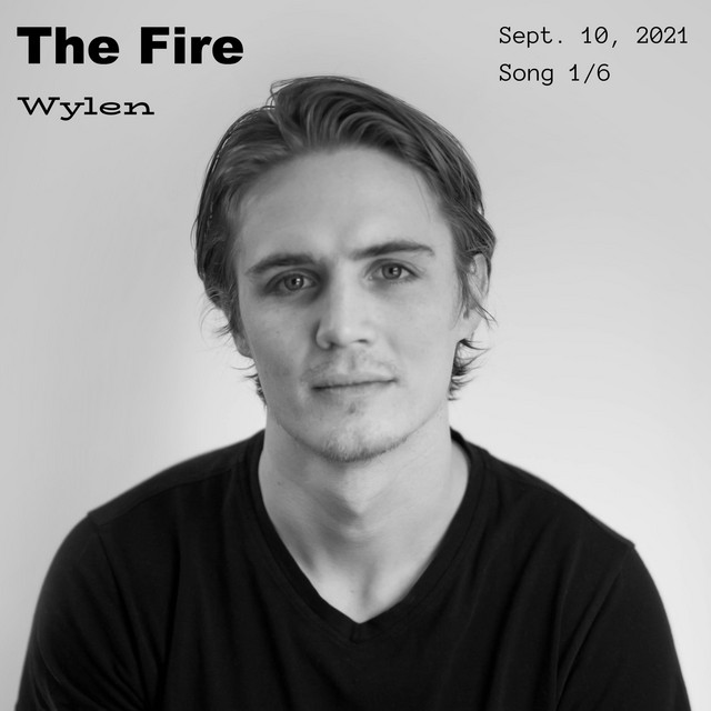 The Fire cover
