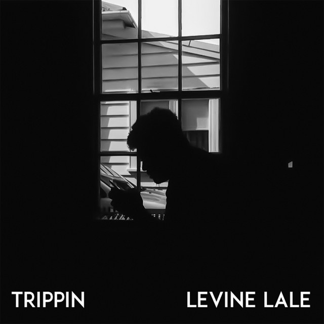 Trippin cover