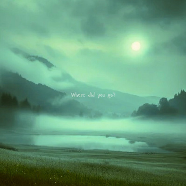 Where did you go? cover art