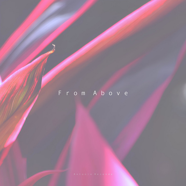 From Above cover