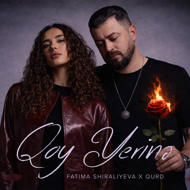 Qoy Yerinə