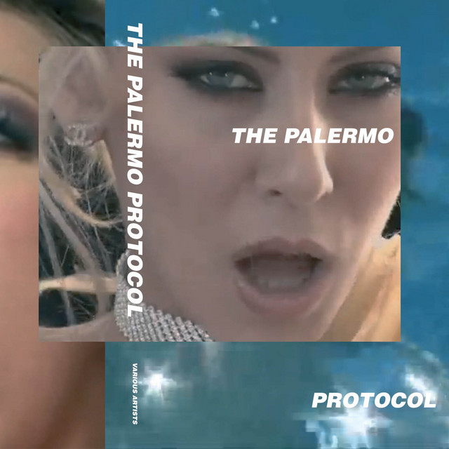 The Palermo Protocol cover