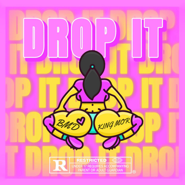 DROP IT cover art