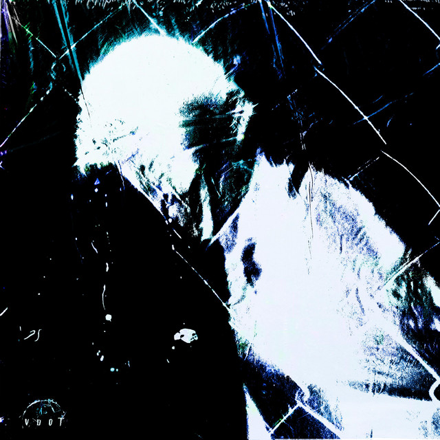 VËË DØG cover art