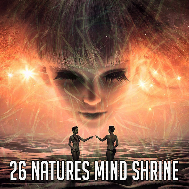 26 Natures Mind Shrine cover art