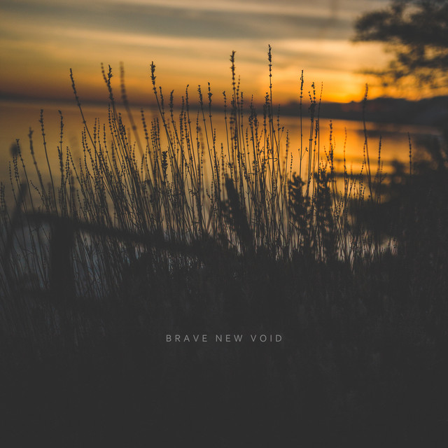 Brave New Void (single)