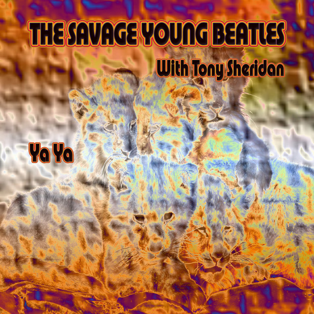Ya Ya cover art