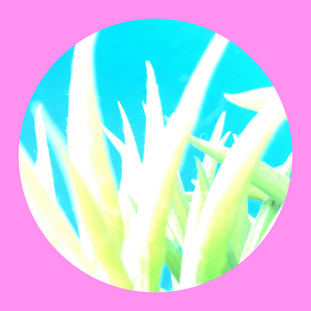 Deepmind Orolex album art
