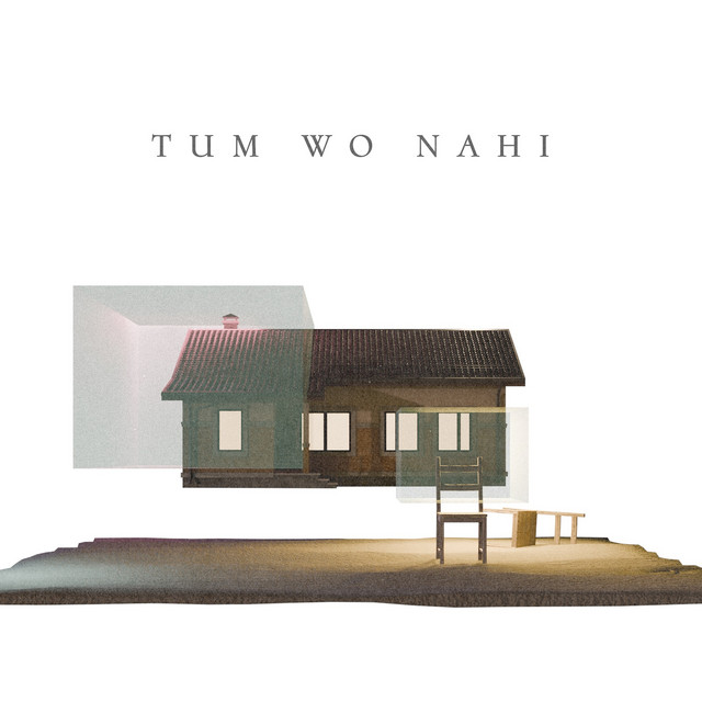 Tum Wo Nahi cover