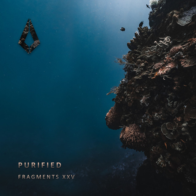 Purified Fragments XXV cover art