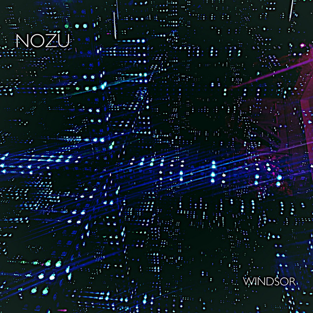 Windsor cover art