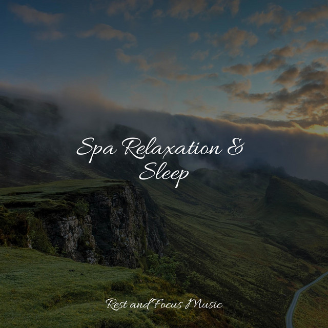 Spa Relaxation & Sleep - Album by Deep Sleep Systems | Spotify