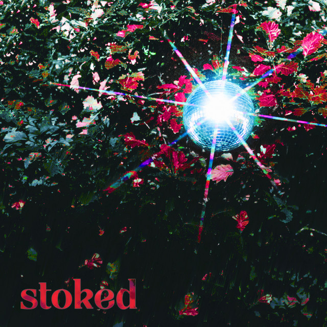 Stoked cover art