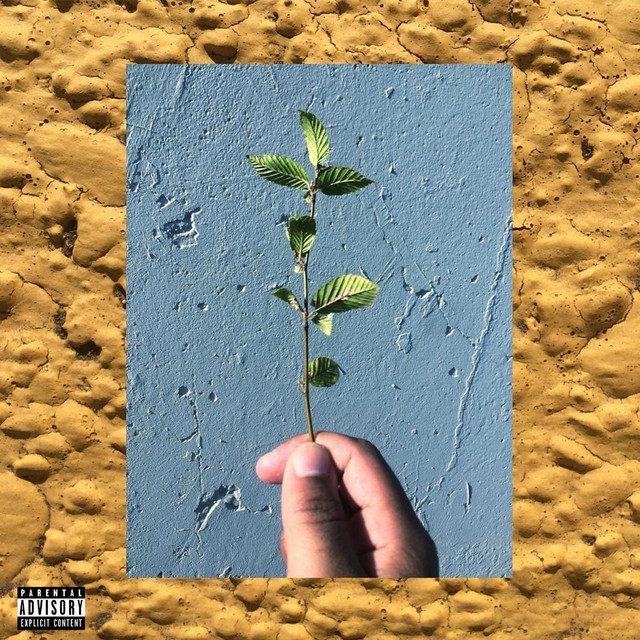 Spoonz cover art