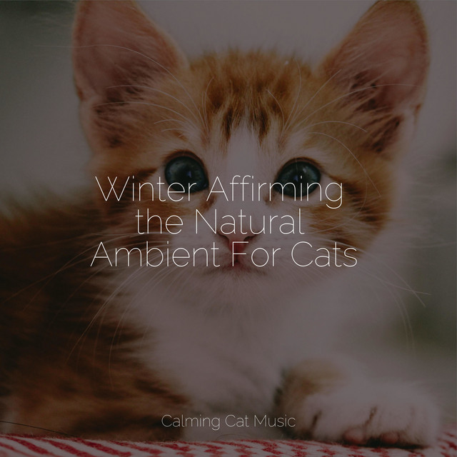 Winter Affirming the Natural Ambient For Cats - Album by Cat Music ...