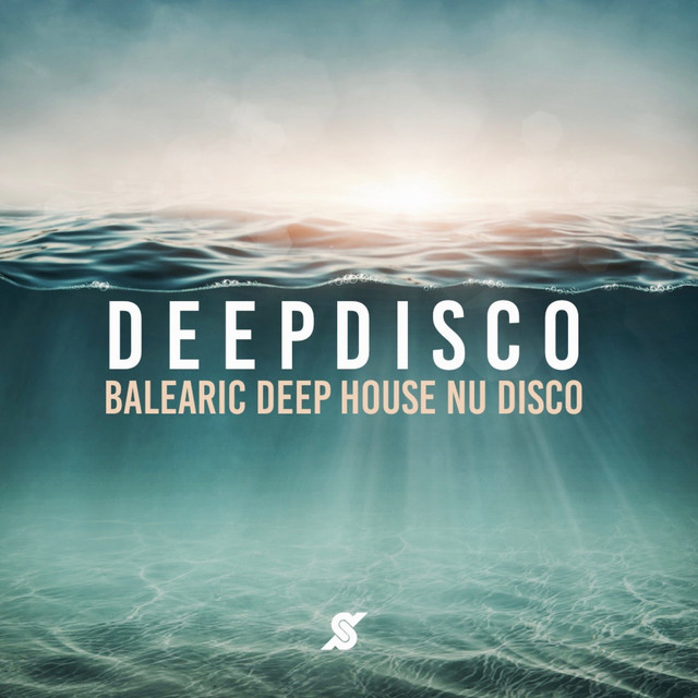Balearic Nu Disco Deep House12インチレコード20枚 Deep Disco - Balearic Deep House Nu Disco - Compilation by Various